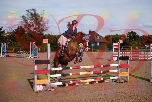 2026_10_03_Siefer-Hof_171151_Z81_08517990 | Professionelle Reitsport-, Turnier- und Eventfotografie von Robert Broda. Galerien mit ausgewählten und bearbeiteten Bildern direkt online ansehen und bestellen.