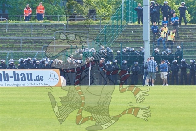 BFC Dynamo vs. FC Energie Cottbus 114 | mythos-online-redaktion