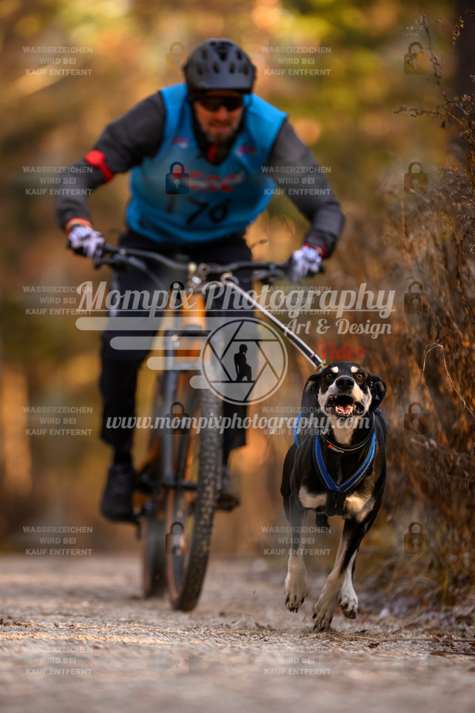 MompixPhotography_DM_AKDM_SO_2025_Bike-71 | PayLife