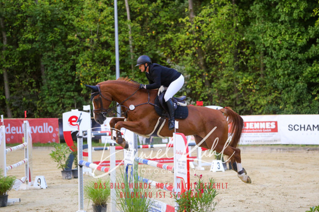 IMG_6206 | Turniersportfotografie; Pferdefotografie; Dressurfotografie