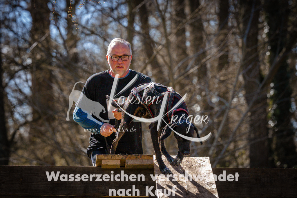 1001_ZZ97039 | kk-dogfotos