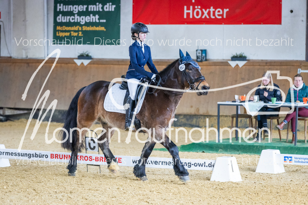 Sth-WBO25-EDr-099 | MomenTaufnahmen Pferdesportfotos