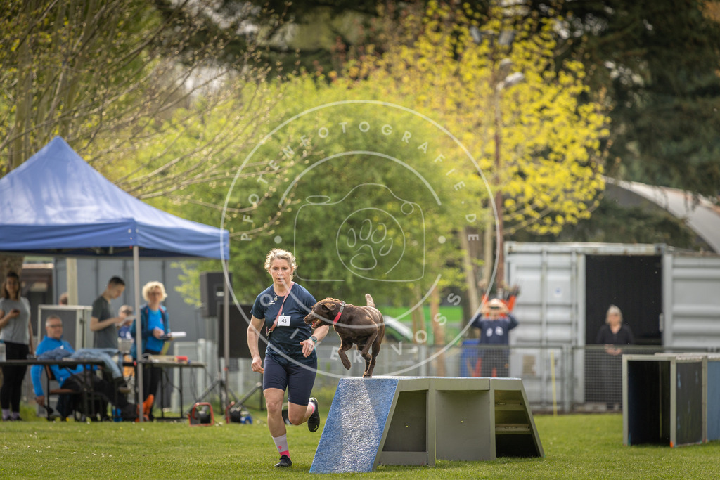 Pfotenfotografie_DV3A6679 | Hundefotografie, Tierfotograf, Pfotenfotografie, Fotoshooting Hund, Hunde Portrait, Hundesport, Hundeportraits, Heideshooting, Hunde, Sportfotograf, Hundefotograf, Turnierhundsport, THS,  - Realisiert mit Pictrs.com