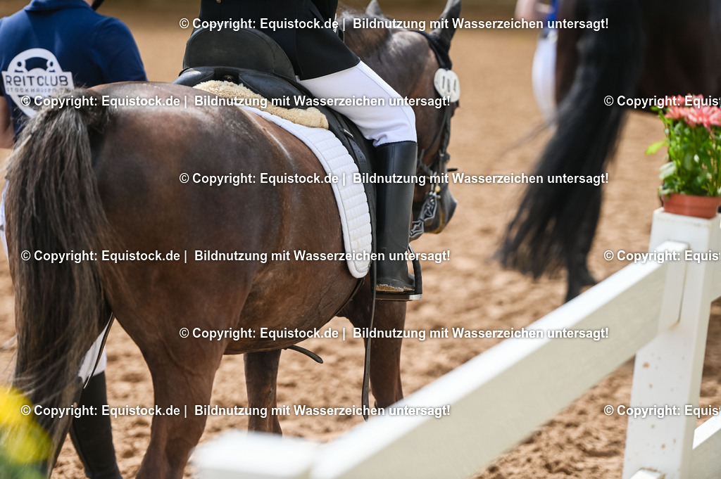 20230716_11_Führzügel-WB_0076 | equistock