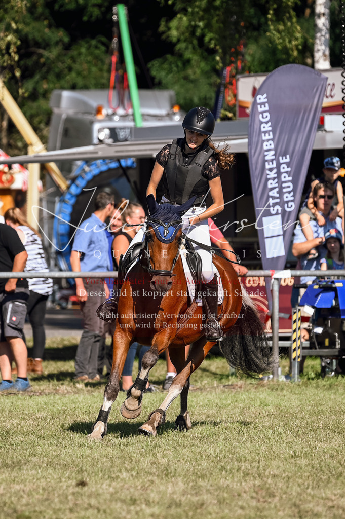 DSC_5355 | Pferde- und Turnierfotografie in Westsachsen. Pferdeportraits, Auftragszeichnungen und intuitive Kunst.