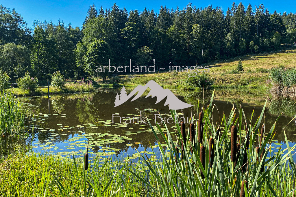 IMG_7518 | Medien- Sport- Entertainmentfotos