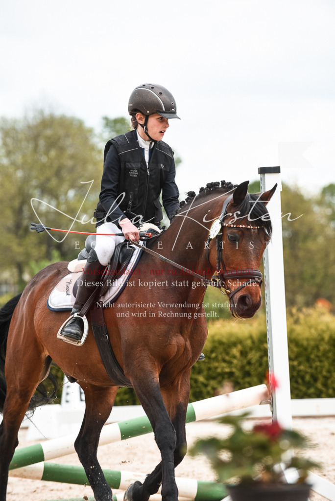 20230518_JK-Röhrsdorf-10-700 | Pferde- und Turnierfotografie in Westsachsen. Pferdeportraits, Auftragszeichnungen und intuitive Kunst.