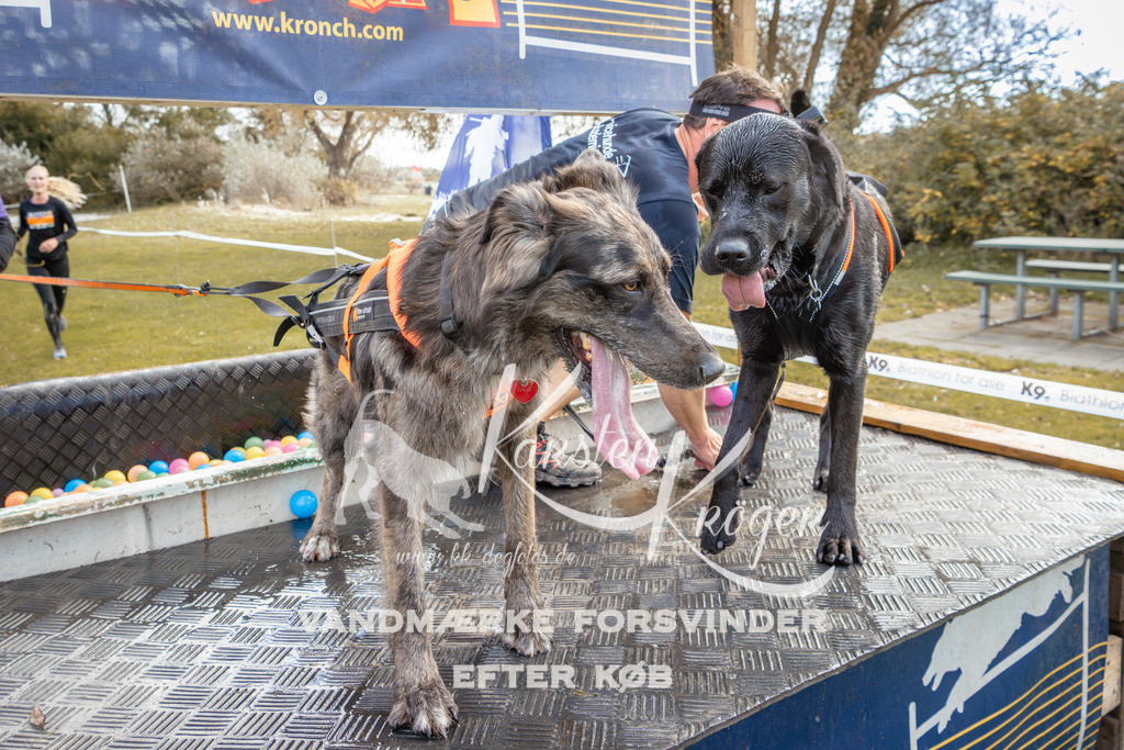 1359_ZZ93264-2 | kk-dogfotos