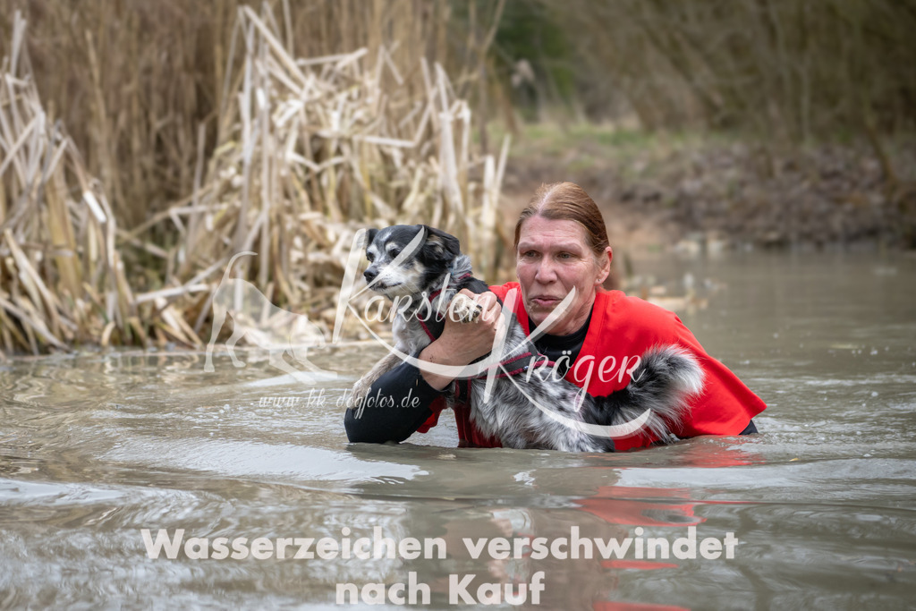 1416_ZZ97824 | kk-dogfotos