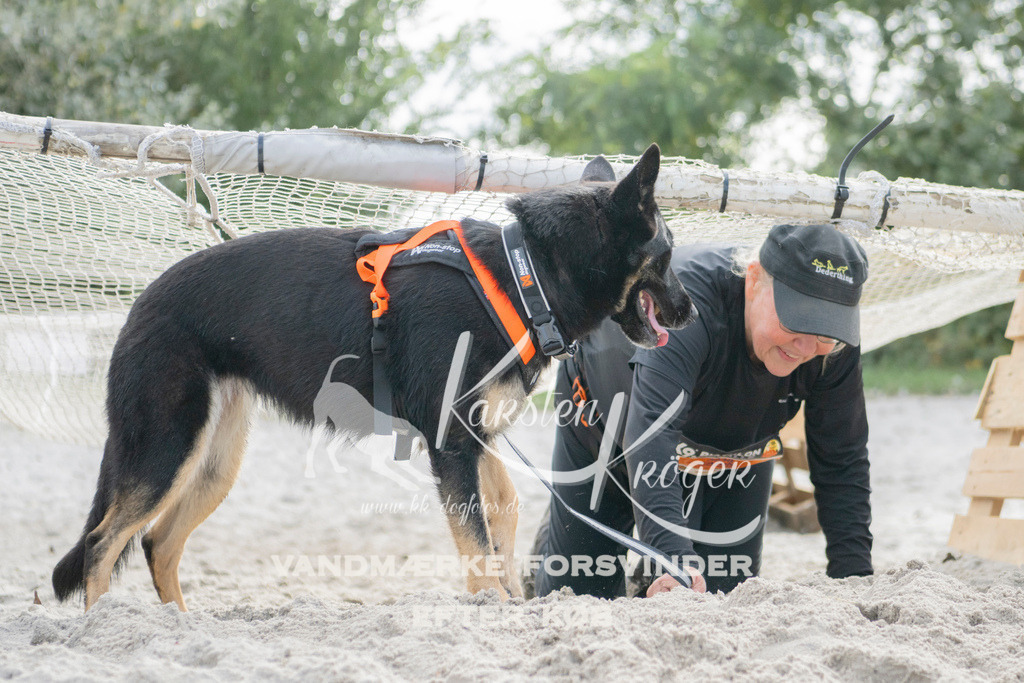 1332_ZZ97479 | kk-dogfotos