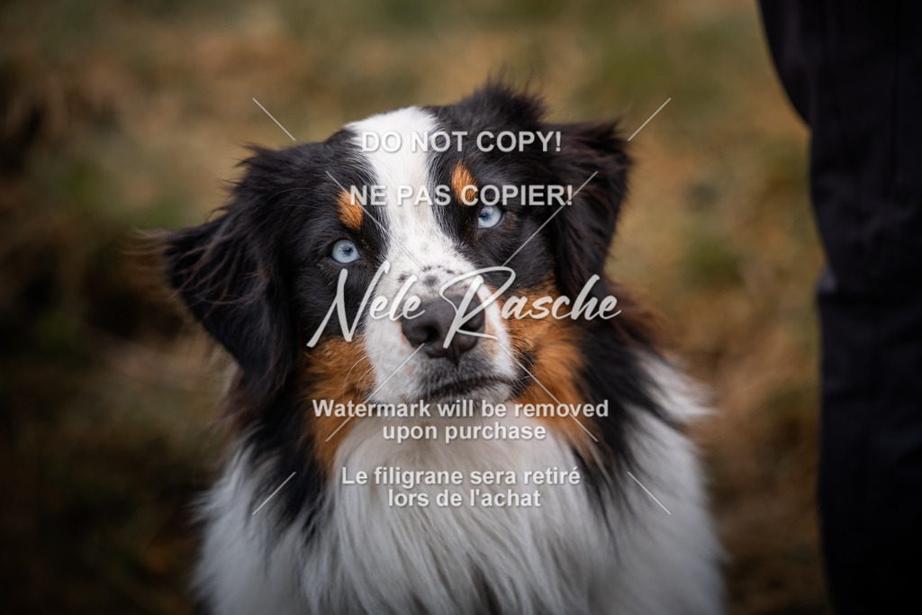 nelerasche_SoUnterwegs_237 | nelerasche