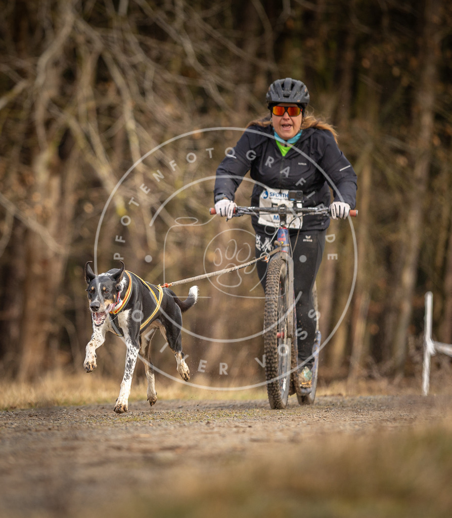 DV3A3432 | Hundefotografie, Tierfotograf, Pfotenfotografie, Fotoshooting Hund, Hunde Portrait, Hundesport, Hundeportraits, Heideshooting, Hunde, Sportfotograf, Hundefotograf, Turnierhundsport, THS,  - Realisiert mit Pictrs.com