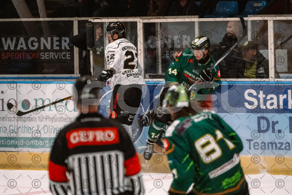Alligators_vs_Erfurt_06_09_2026-39 | Die Fotogalerie von Daddel: professionelle Bilder von Sport, Events und Unternehmen aus Franken. Jetzt Galerien durchstöbern und Lieblingsfotos bestellen. - Realisiert mit Pictrs.com