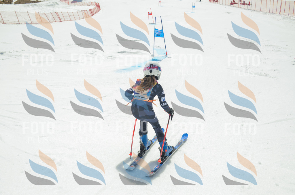 _ELE5302 | holidayphoto