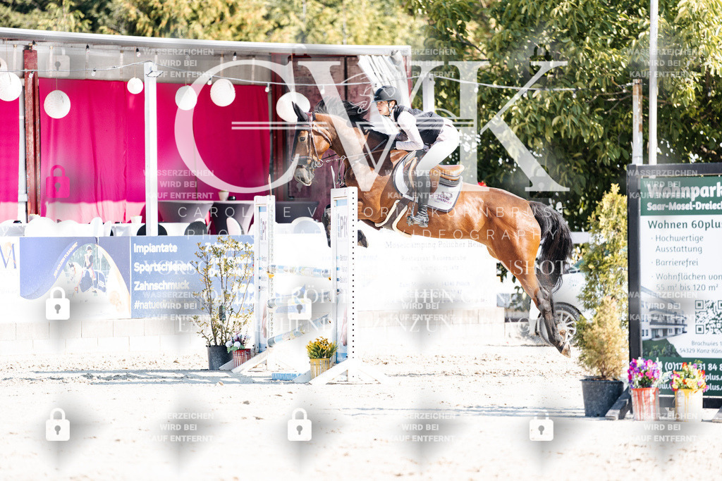 CK902217 | Turnierfotografie Pferdefotografie Trier Rheinland-Pfalz Pferdesport Reitsport Tierfotografie Sportfotografie Pferdevideo Pferdevideografie Equestrianvideography equestrianphotography  - Realisiert mit Pictrs.com