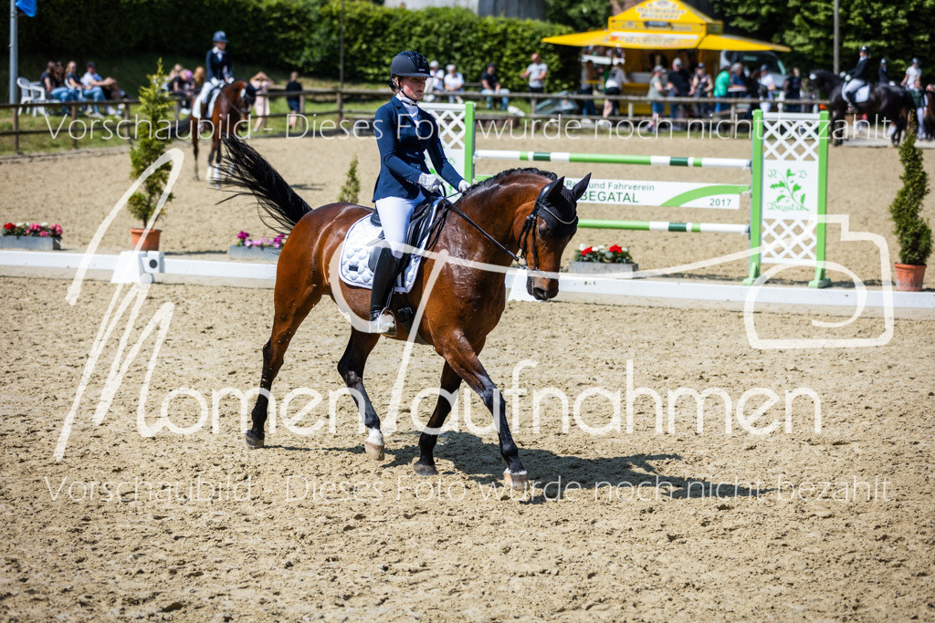 Donop24-L-Dre-090 | MomenTaufnahmen Pferdesportfotos