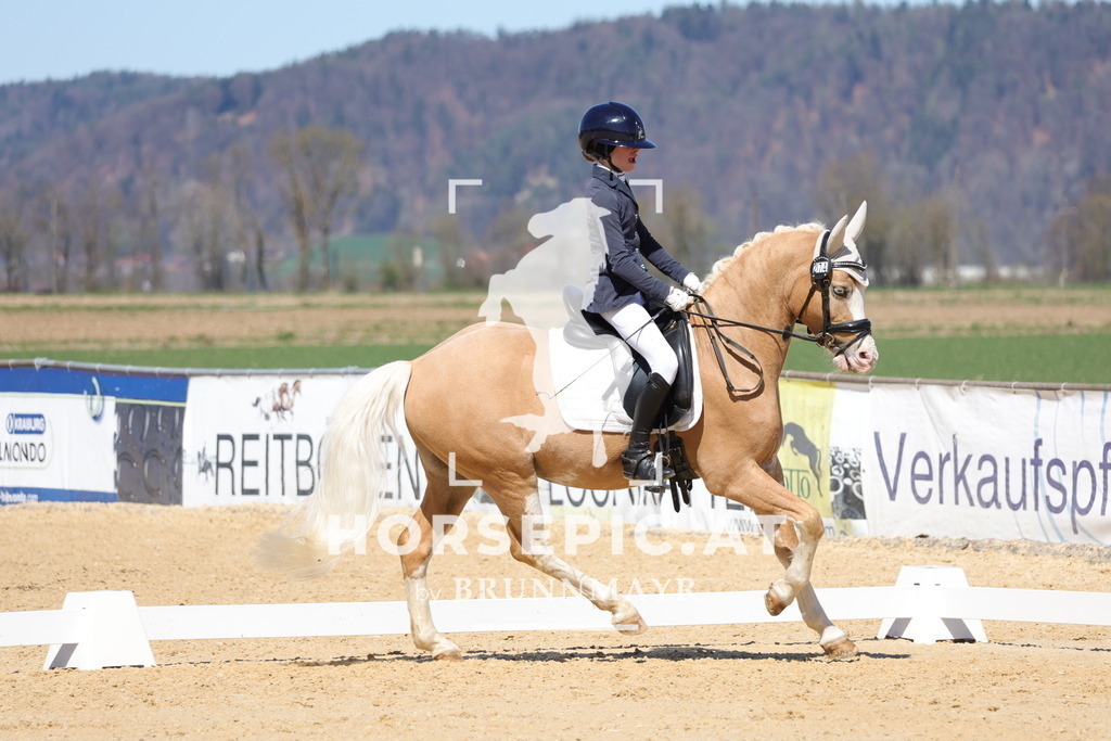 0P6A7571 | Willkommen bei Brunnmayr - Design & Fotografie – Ihrem Spezialisten für Reitturniere und Pferdeveranstaltungen in Oberösterreich, Salzburg und Bayern! Seit über 17 Jahren sind wir leidenschaftlich dabei.