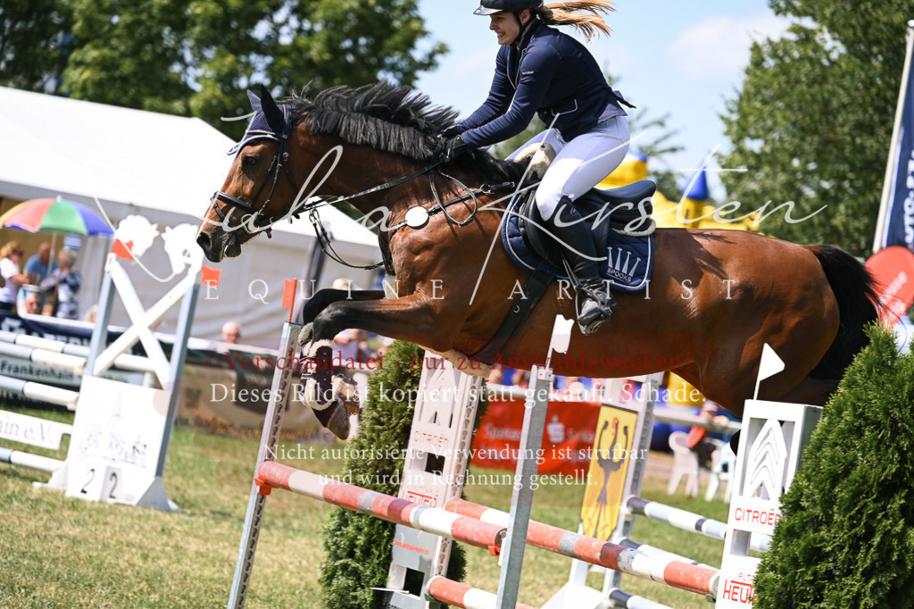 DSC_0251 | Pferde- und Turnierfotografie in Westsachsen. Pferdeportraits, Auftragszeichnungen und intuitive Kunst.