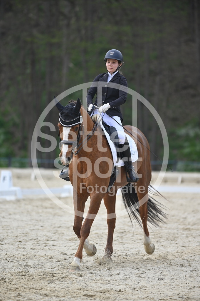 DSC_4851 | sattelsport - Realisiert mit Pictrs.com