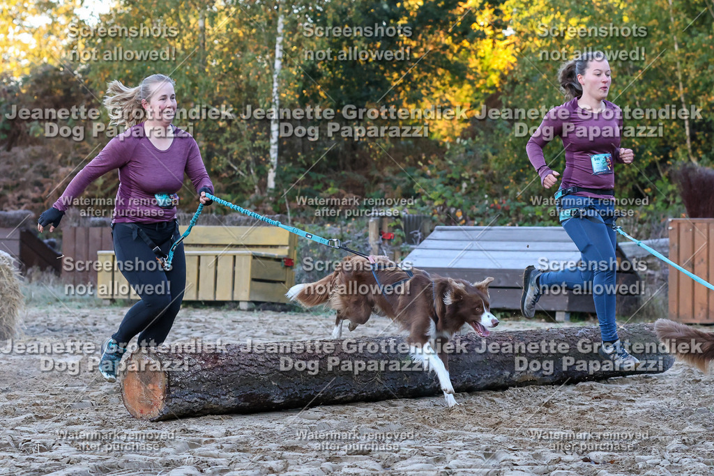 Dog Paparazzi - Strongdog 10-25-236 | Dog Paparazzi Jeanette Grottendiek Fotografie & Videografie - Realisiert mit Pictrs.com