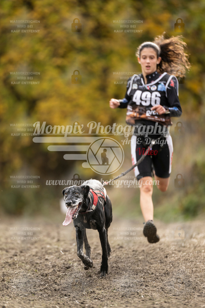 MompixPhotography_ICF_WC_2024_SA_Run_-513 | PayLife