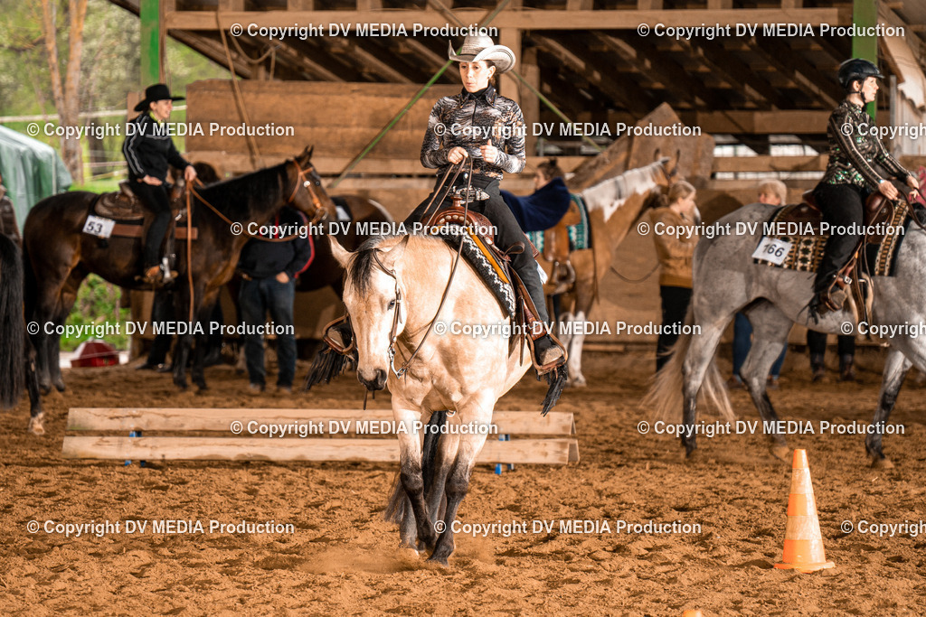 BAL00326 | dv-media-shop - Realisiert mit Pictrs.com