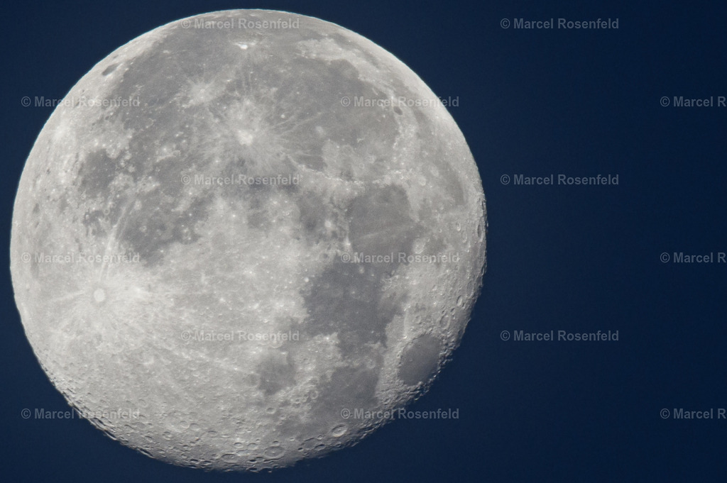 _DSC7793 | foto-rosenfeld