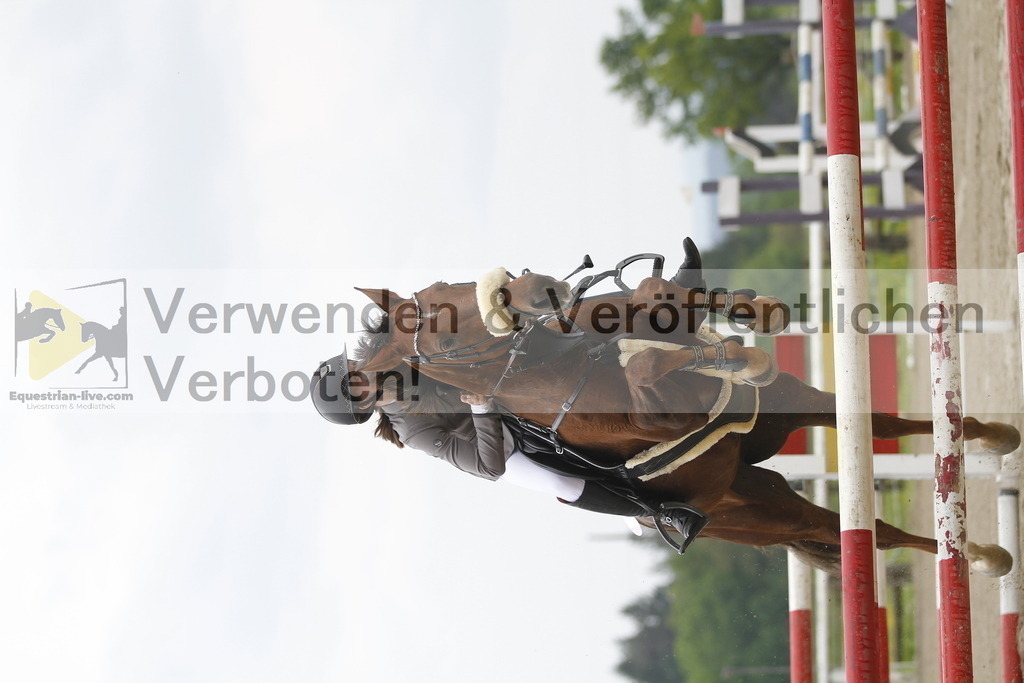 _MG_7832 | equestrian-live-com