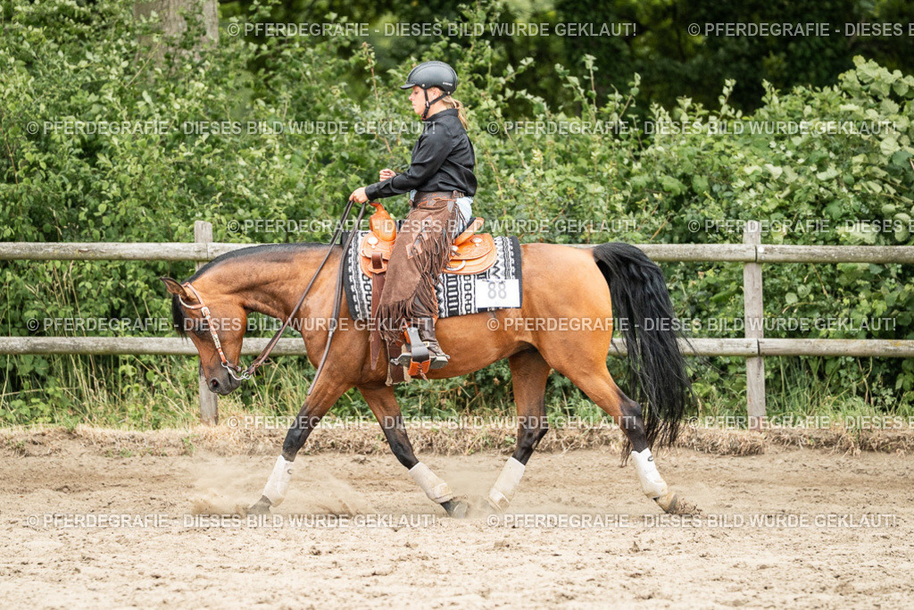 DSC04138 | Pferdegrafie