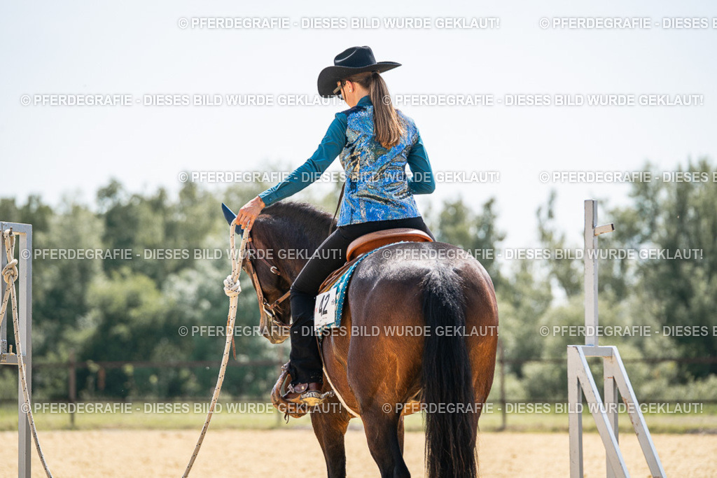 DSC00743 | Pferdegrafie