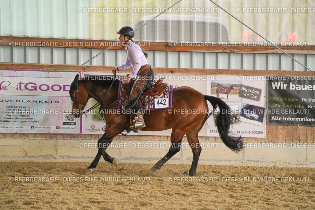 DSC08716 | Pferdegrafie