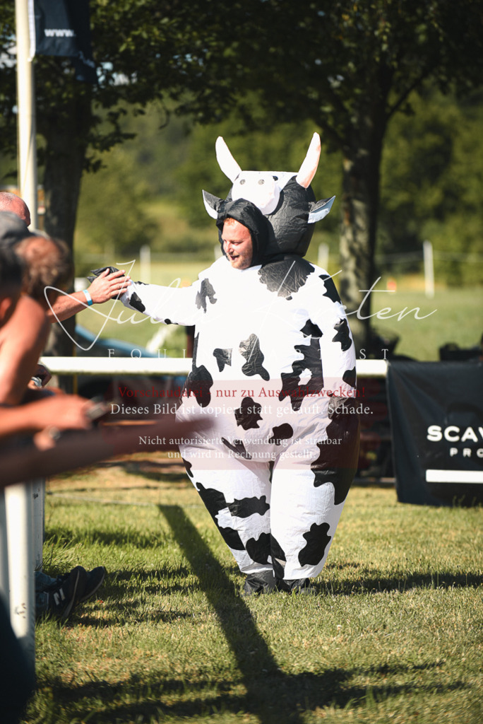 DSC_7770 | Pferde- und Turnierfotografie in Westsachsen. Pferdeportraits, Auftragszeichnungen und intuitive Kunst.