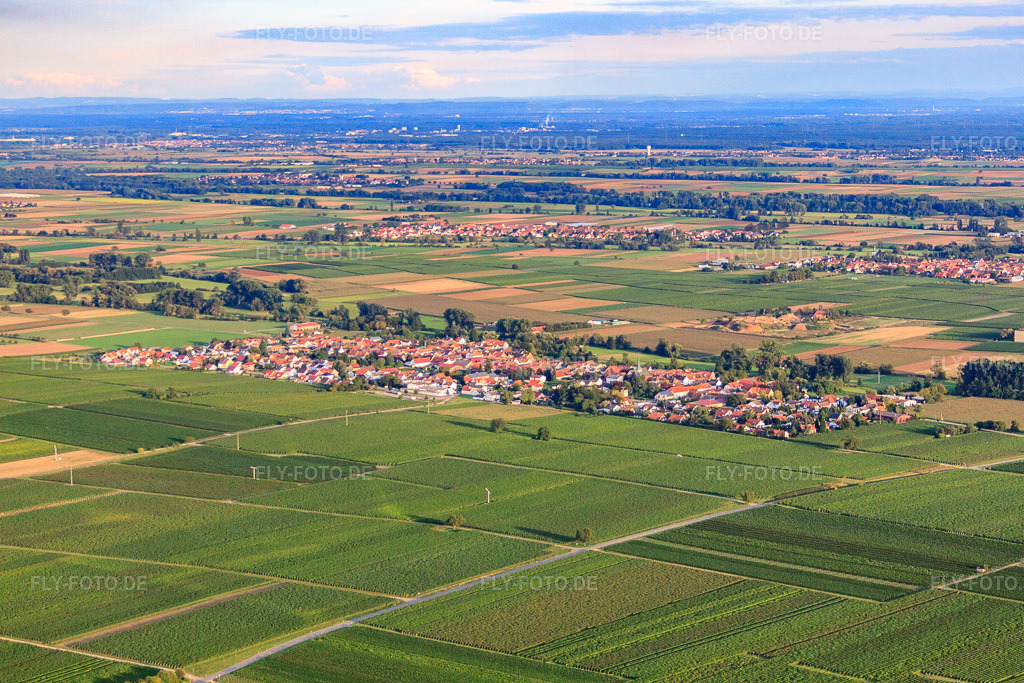 Luftbild: Ortsansicht von Norden im Ortsteil Duttweiler in Neustadt im Bundesland Rheinland-Pfalz in Deutschland. Foto: IMG_71236.jpg vom 27.08.2014 durch Werner Riehm/FLY-FOTO.deAuflösung des Originals: 4752 x 3168 px