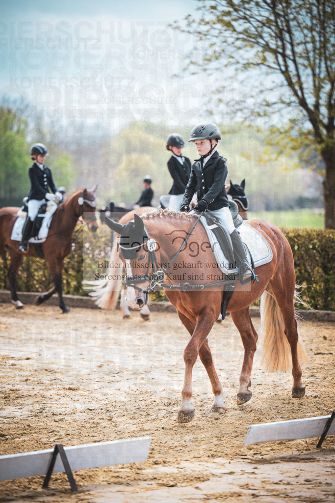 DOS_6151 | Entdecke hochwertige Reitturnierfotos von Foto Oger. Professionell, emotional und authentisch – jetzt Lieblingsmomente im Shop bestellen.Deutschlandweite Turnierfotografie. - Realisiert mit Pictrs.com
