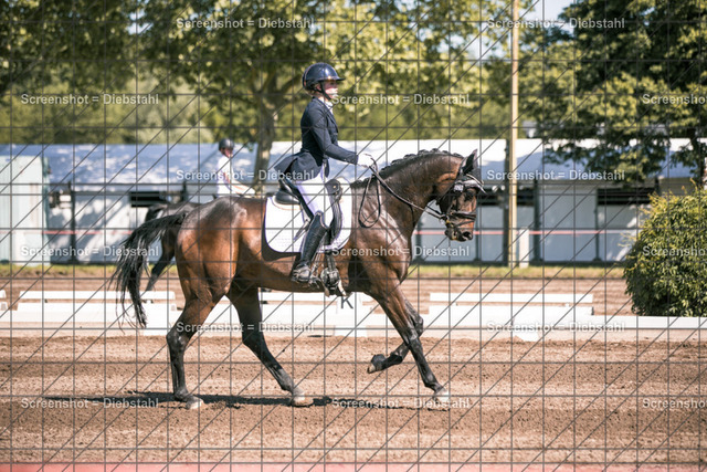 _W6A2731 | ronjaprokoschfotografie - Realisiert mit Pictrs.com