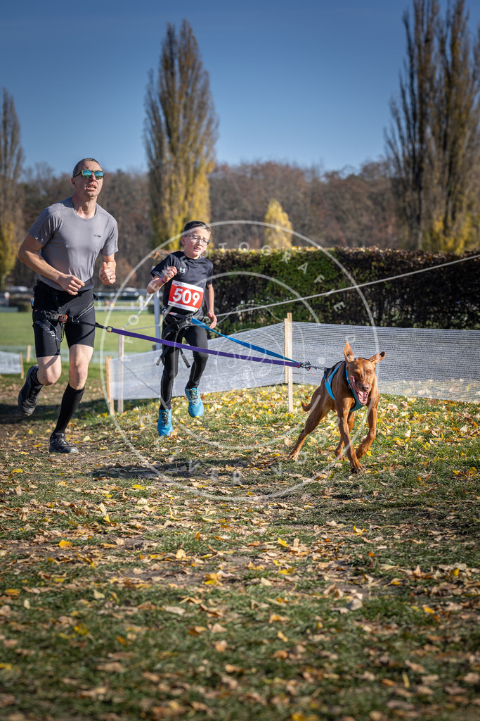 CaniXpix_DV3A7927 | Hundefotografie, Tierfotograf, Pfotenfotografie, Fotoshooting Hund, Hunde Portrait, Hundesport, Hundeportraits, Heideshooting, Hunde, Sportfotograf, Hundefotograf, Turnierhundsport, THS,  - Realisiert mit Pictrs.com