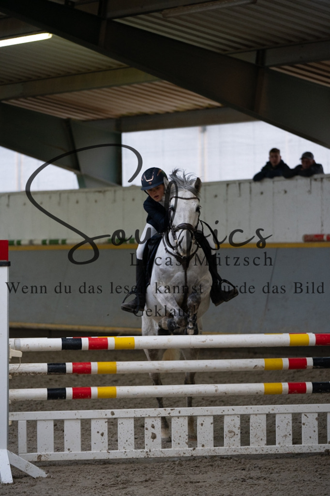 A7V08803 | Pferdefotograf