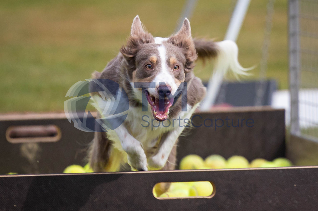 TP-20240815-0068 | Copyright: Trainproduction / Matthias Trinkl