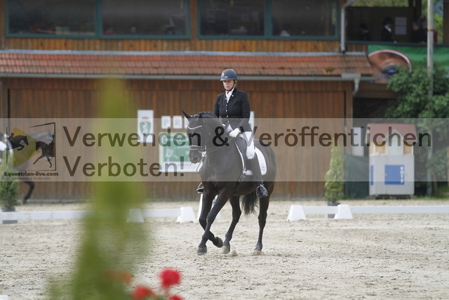 _MG_6258 | equestrian-live-com