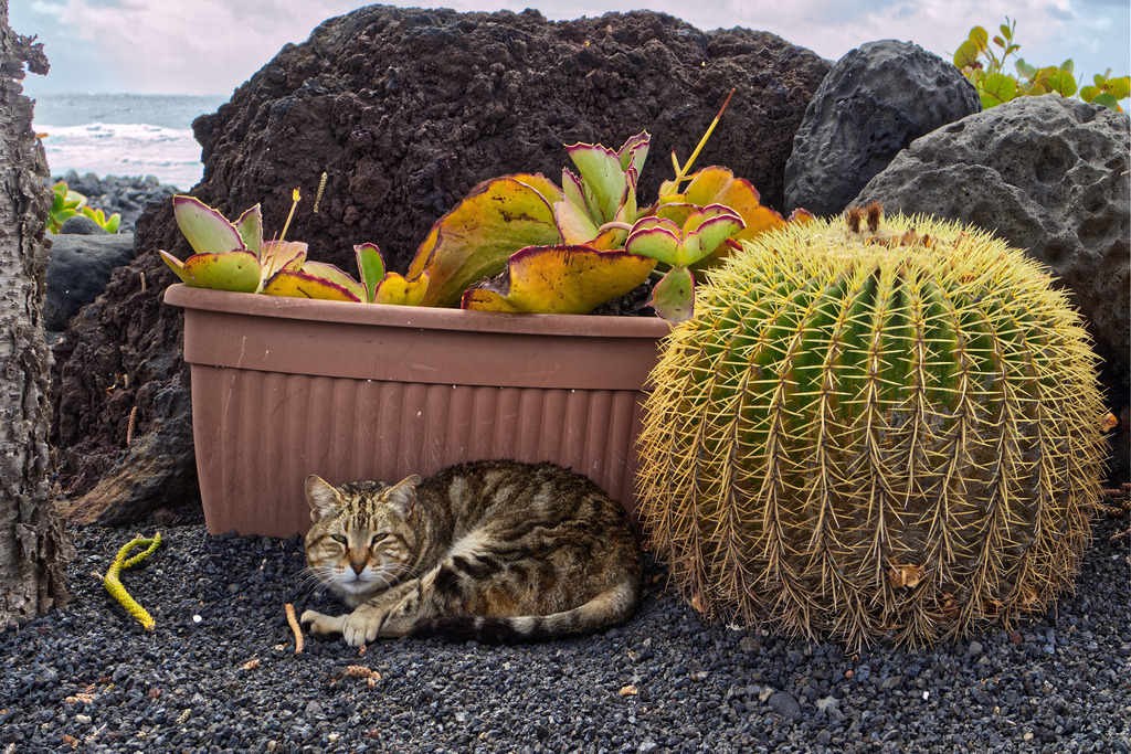 IMG_2041a | ansichtssache