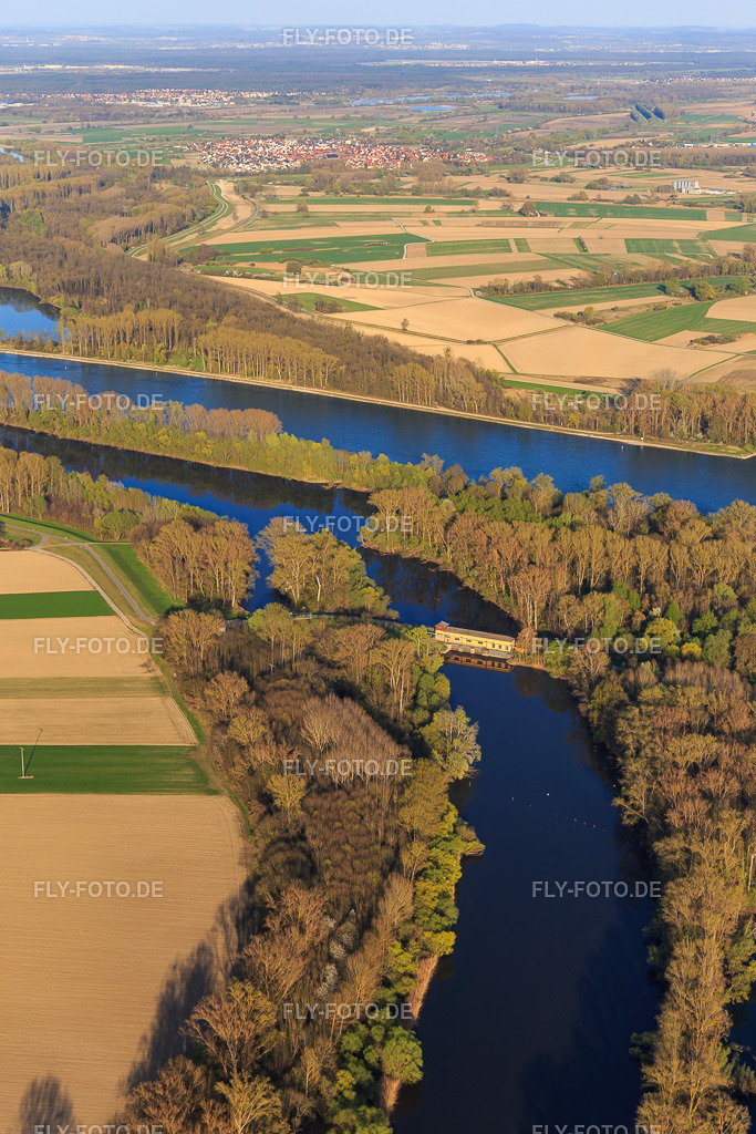 Mündung des Michelsbach in den Rhein am Schöpfwerk Sonderheim Süd | Luftbild: Mündung des Michelsbach in den Rhein am Schöpfwerk Sonderheim Süd im Ortsteil Sondernheim in Germersheim im Bundesland Rheinland-Pfalz in Deutschland. Foto: IMG_097963.jpg vom 30.03.2017 durch Werner Riehm/FLY-FOTO.de - Realisiert mit Pictrs.com