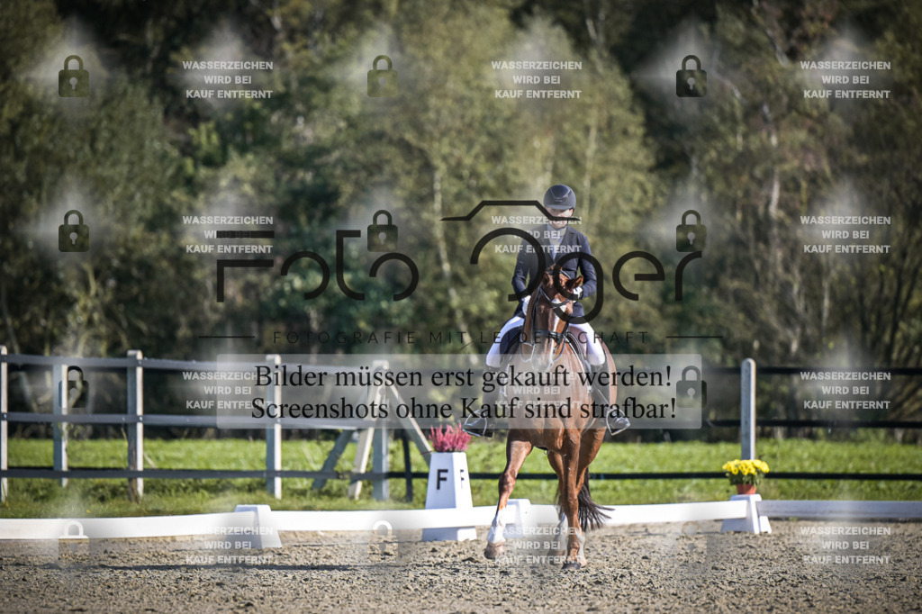 DOS_3709 | Entdecke hochwertige Reitturnierfotos von Foto Oger. Professionell, emotional und authentisch – jetzt Lieblingsmomente im Shop bestellen.Deutschlandweite Turnierfotografie. - Realisiert mit Pictrs.com