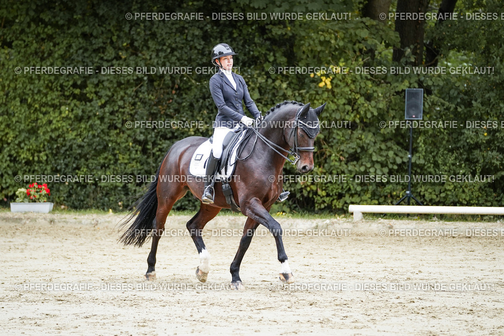 DSC09153 | Pferdegrafie