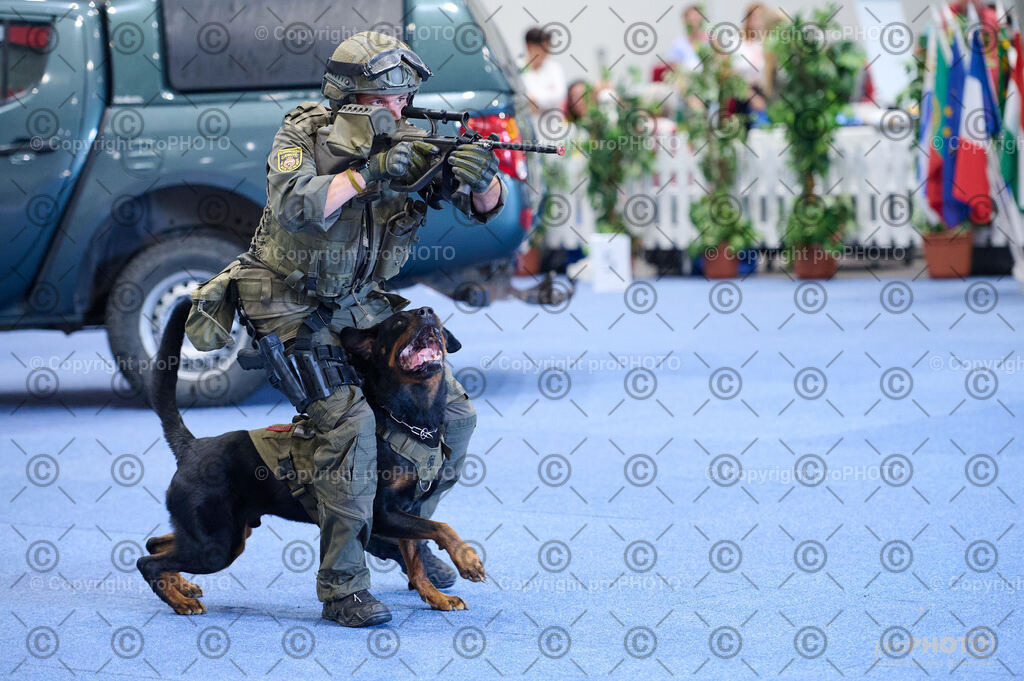 202406_ÖKV-IHA-Tulln24_DSC_2746 | proPHOTO - Realisiert mit Pictrs.com