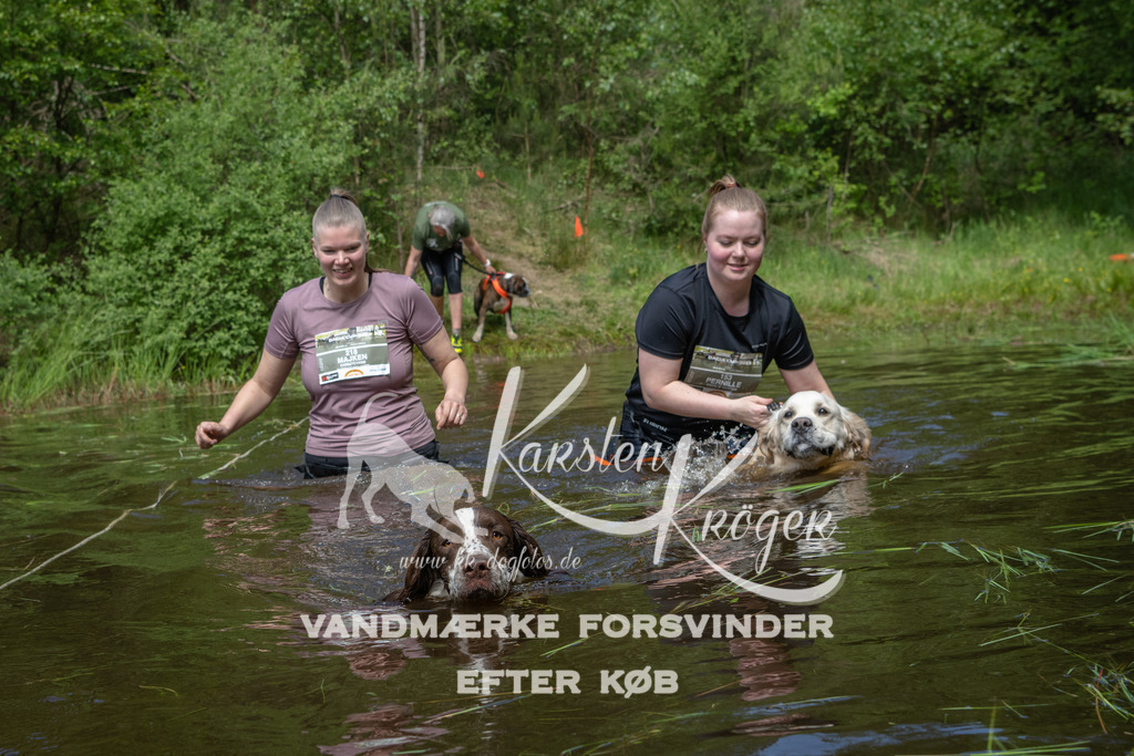 1130DKK990410 | kk-dogfotos