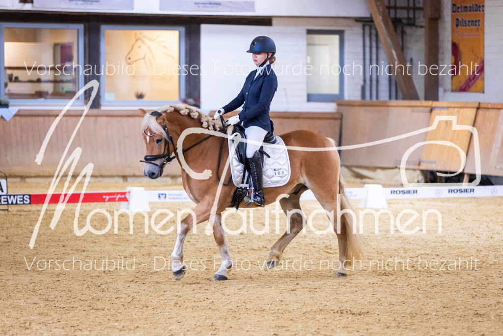 Sth-A-Dre-2St-030 | MomenTaufnahmen Pferdesportfotos
