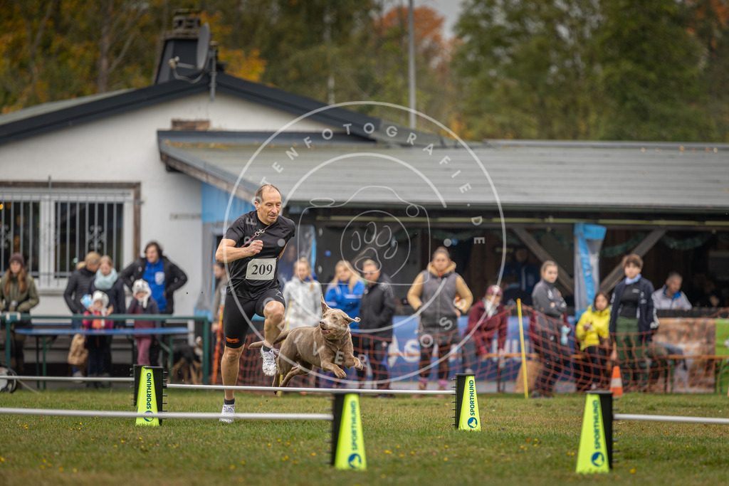 Pfotenfotografie_DV3A1848 | Hundefotografie, Tierfotograf, Pfotenfotografie, Fotoshooting Hund, Hunde Portrait, Hundesport, Hundeportraits, Heideshooting, Hunde, Sportfotograf, Hundefotograf, Turnierhundsport, THS,  - Realisiert mit Pictrs.com
