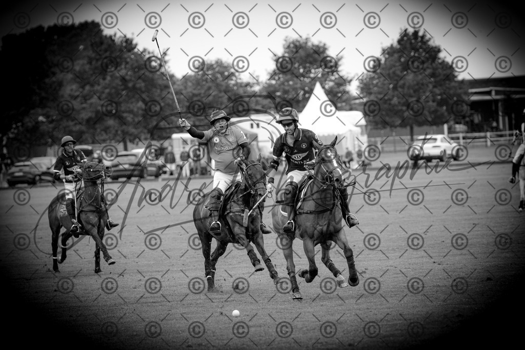 POL_2937 | andre_photographic