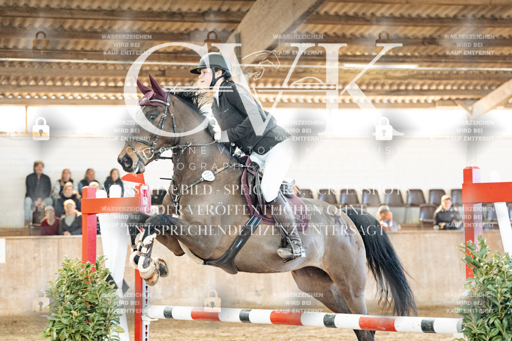 CK904225 | Turnierfotografie Pferdefotografie Trier Rheinland-Pfalz Pferdesport Reitsport Tierfotografie Sportfotografie Pferdevideo Pferdevideografie Equestrianvideography equestrianphotography  - Realisiert mit Pictrs.com