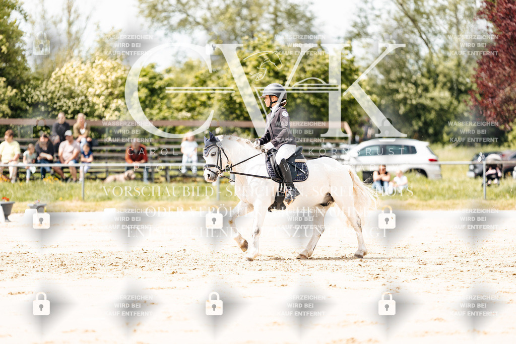 CK901869 | Turnierfotografie Pferdefotografie Trier Rheinland-Pfalz Pferdesport Reitsport Tierfotografie Sportfotografie Pferdevideo Pferdevideografie Equestrianvideography equestrianphotography  - Realisiert mit Pictrs.com